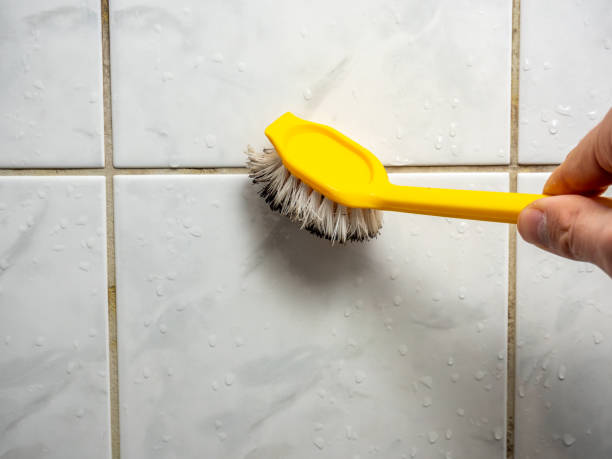 Best Toxic Mold Removal  in Pineland, TX
