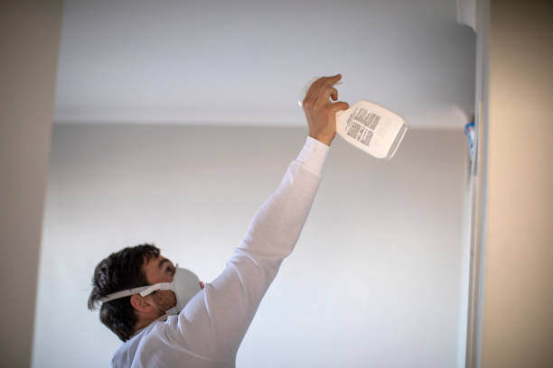 Best Professional Mold Removal  in Pineland, TX