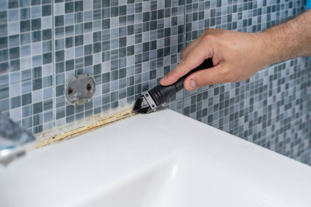 Best Local Mold Removal Service  in Pineland, TX