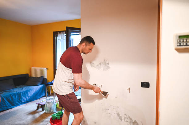Best Fast Mold Removal  in Pineland, TX